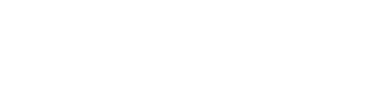Princeton logo white