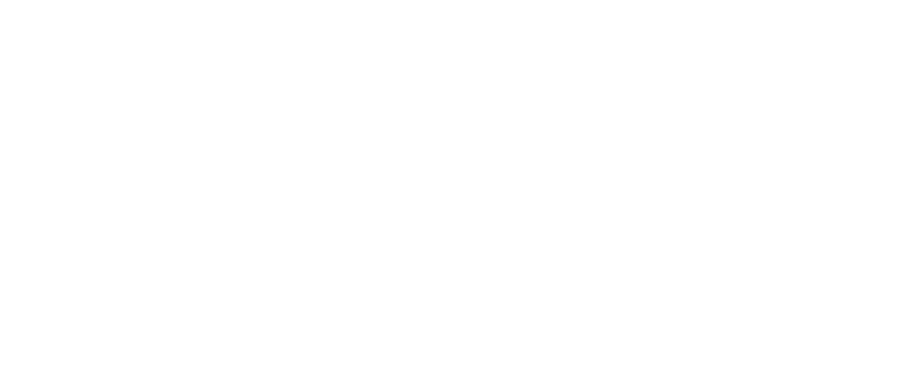 BAnQ Logo