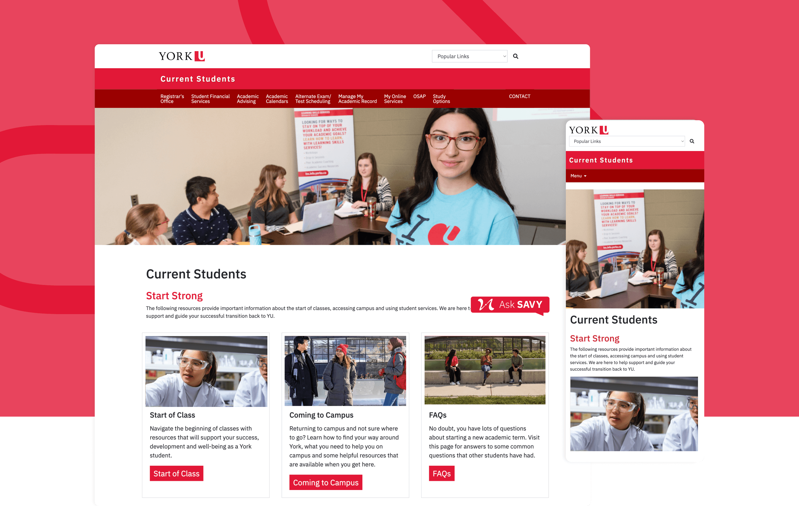 York University Current Students
