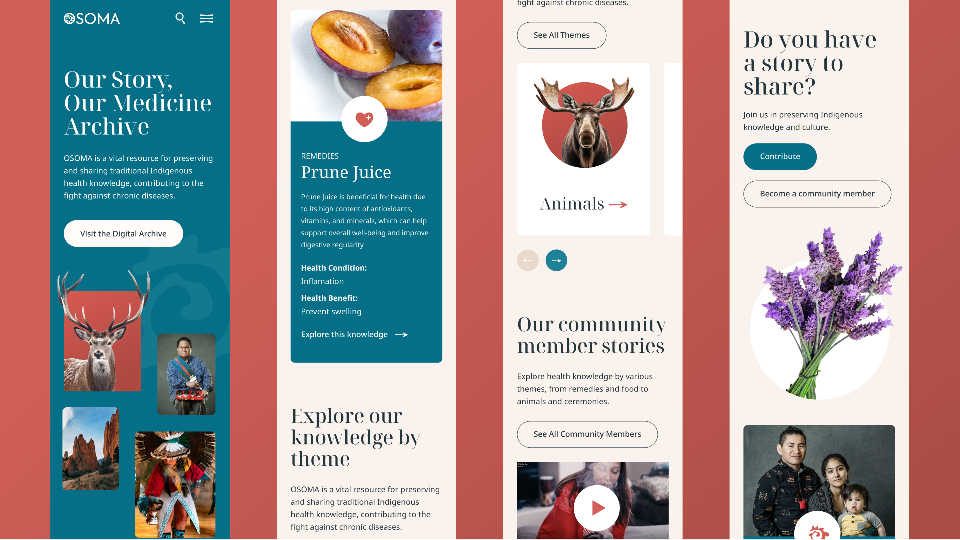 Screenshots of four different pages of the OSOMA website
