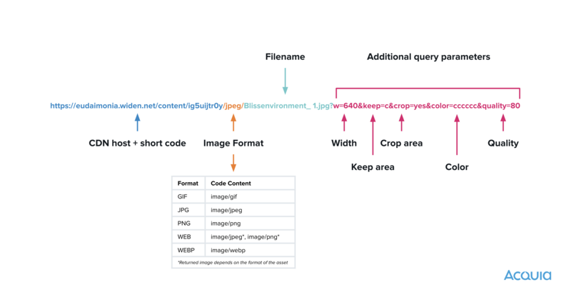 Dynamic embed codes in DAM for programming tasks such as changing file formats, adjusting the size, setting the crop ratio and background colour. 