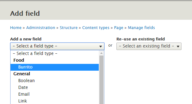 Custom field type visible in field type selection