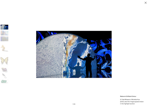 A fullscreen modal lightbox shows an exhibition image from the Royal Ontario Museum, with a silhouetted figure standing in front of a large, colorful, circular projection.