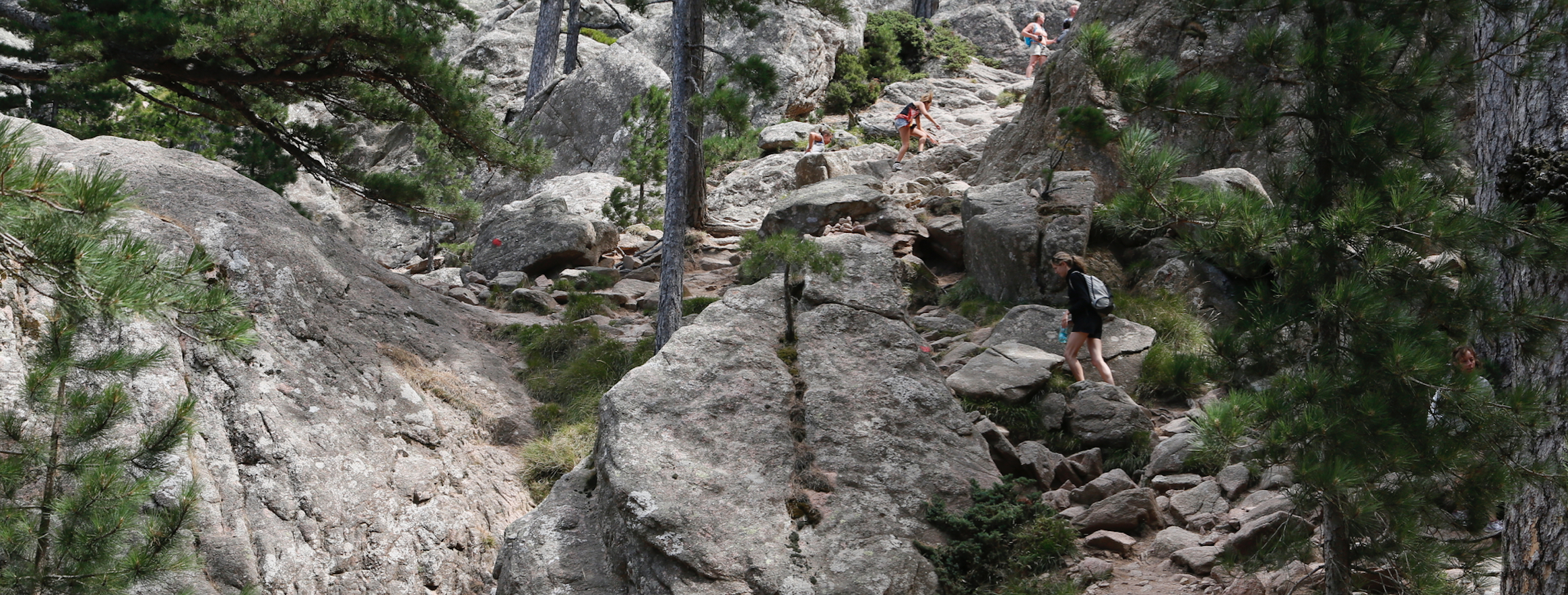 Hikers on a trail