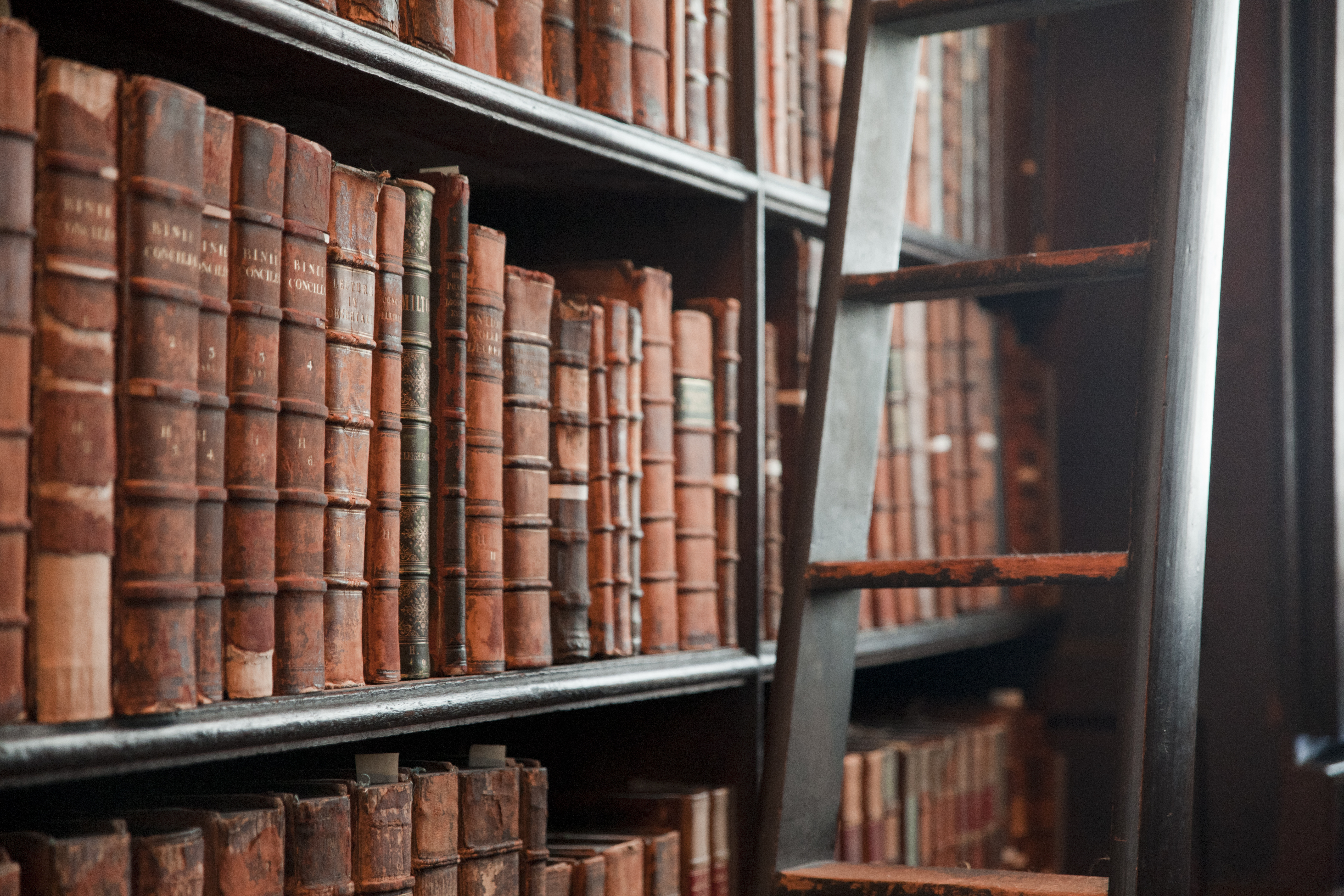 Bookshelf with many old books, representing our migration work for the Princeton University Press