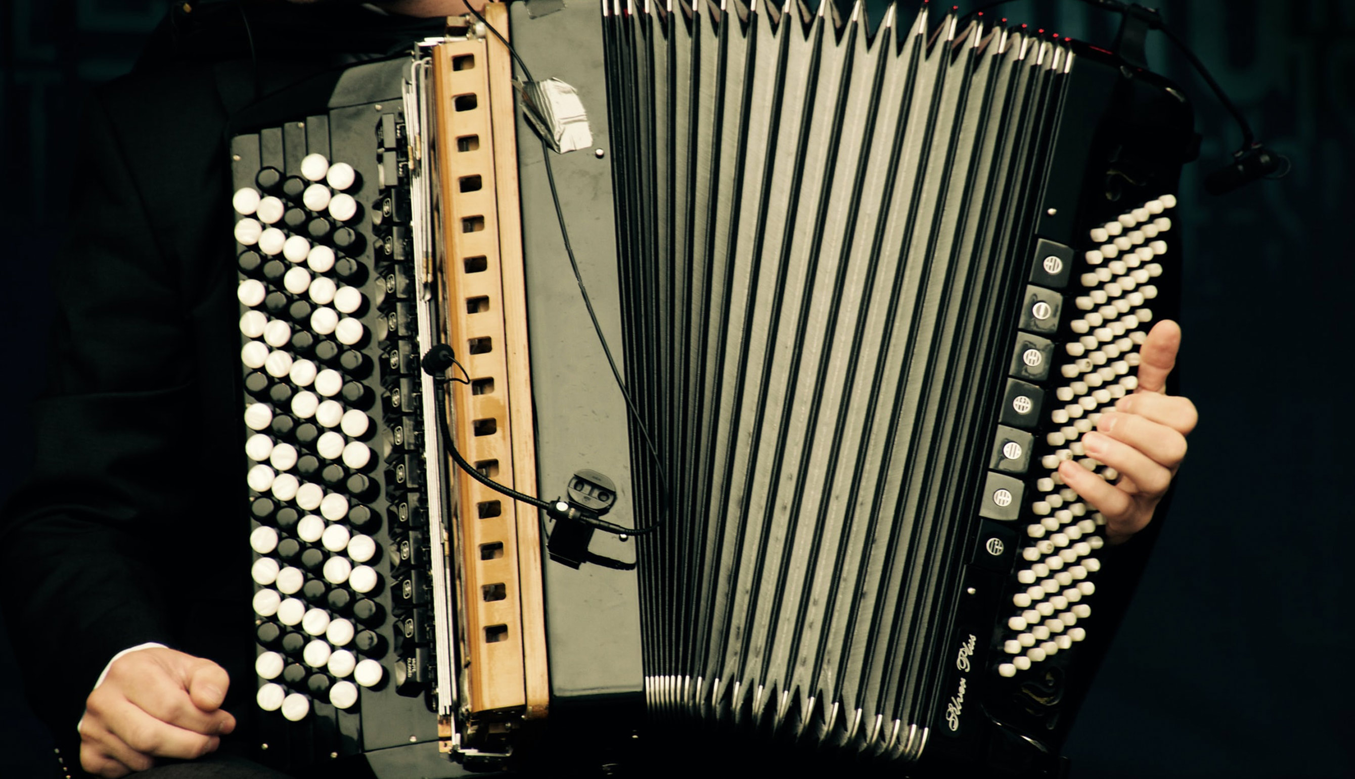 An accordion