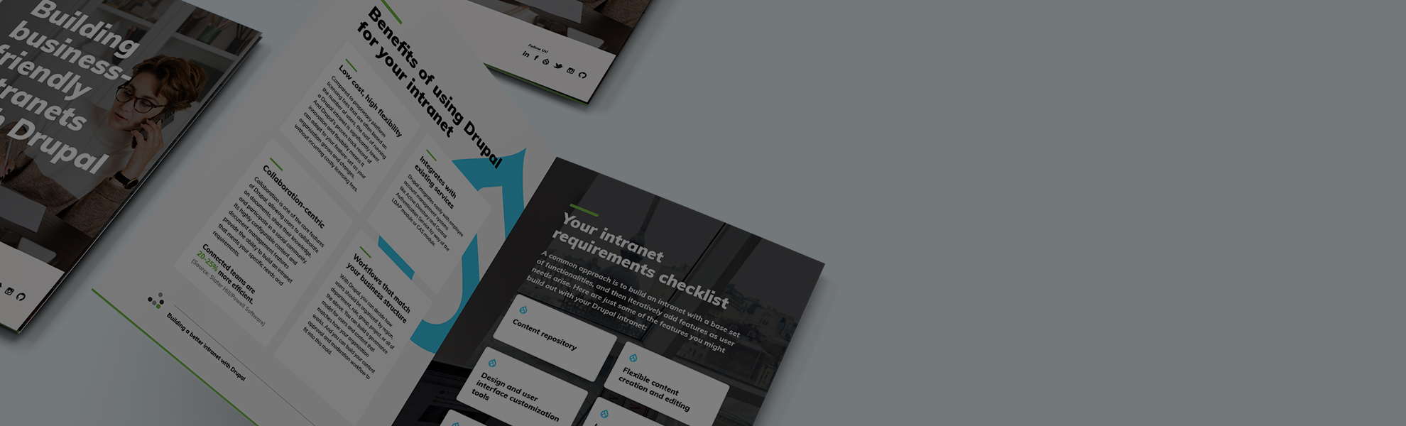 Pages from the intranet white paper