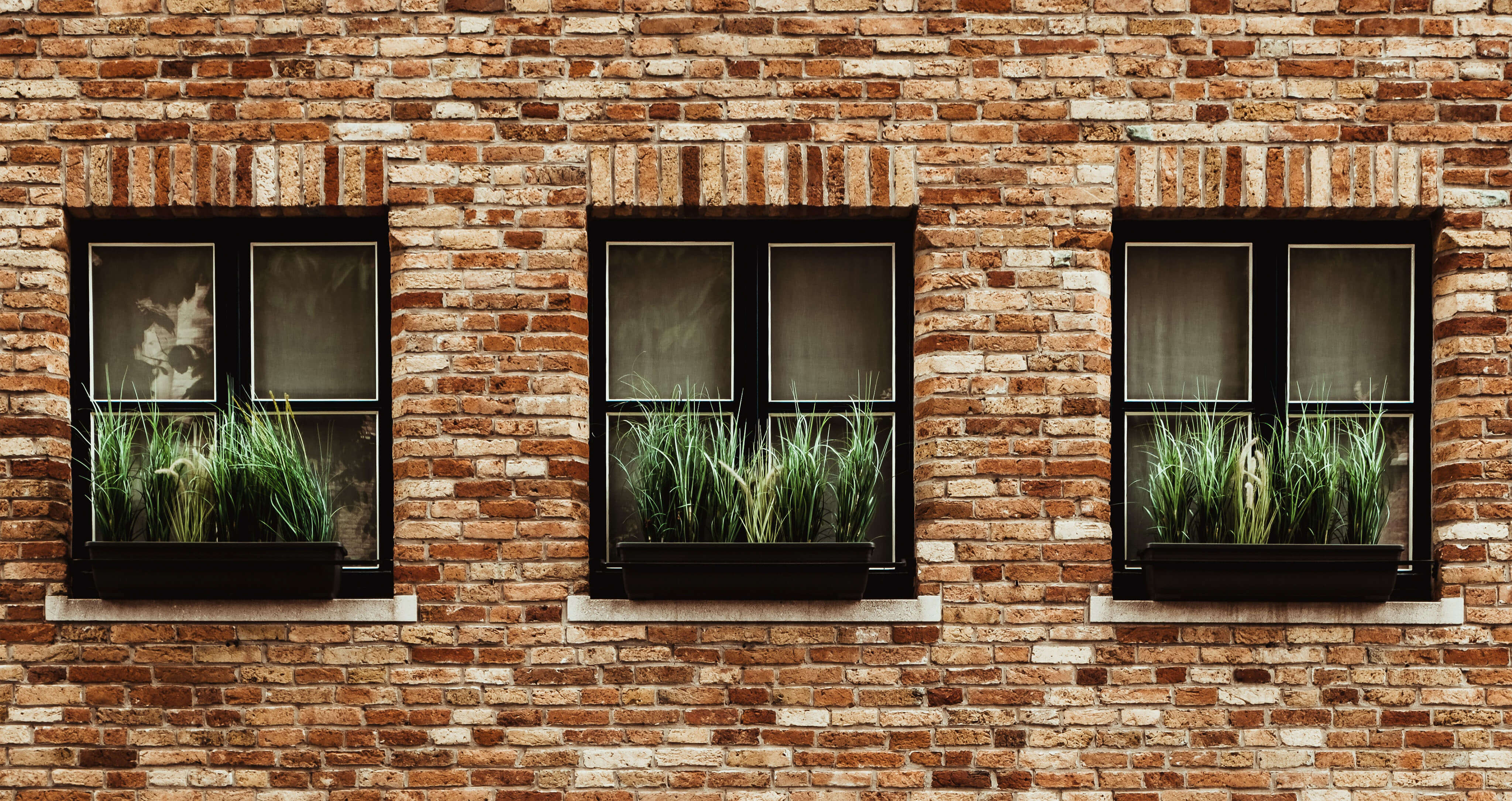 maintaining and growing your digital platform