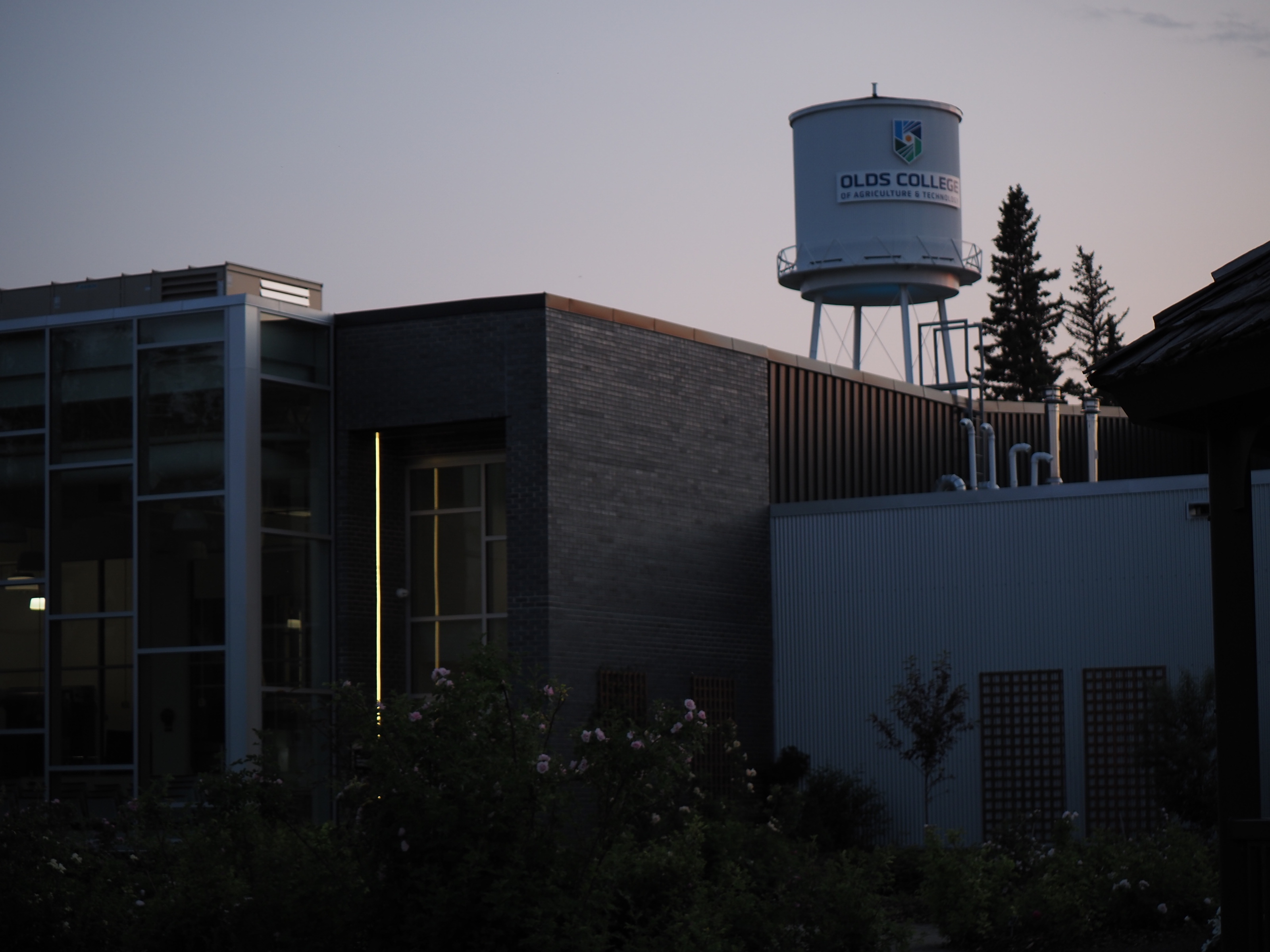 View of the Olds College grounds, with blooming flowers in the foreground and the water tower in the back