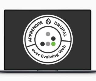 evolving-web-custom-training