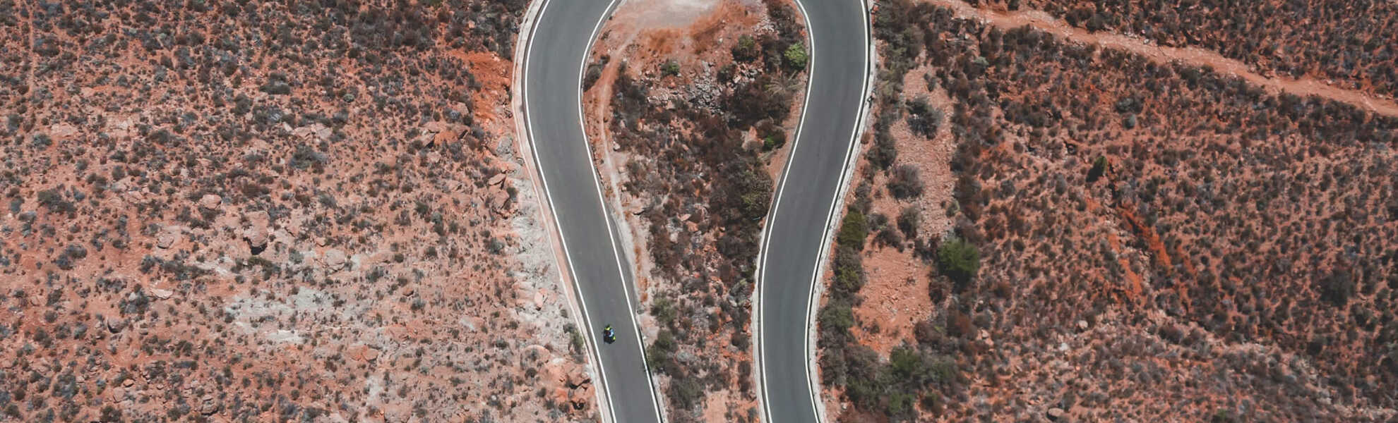 Princeton International banner
