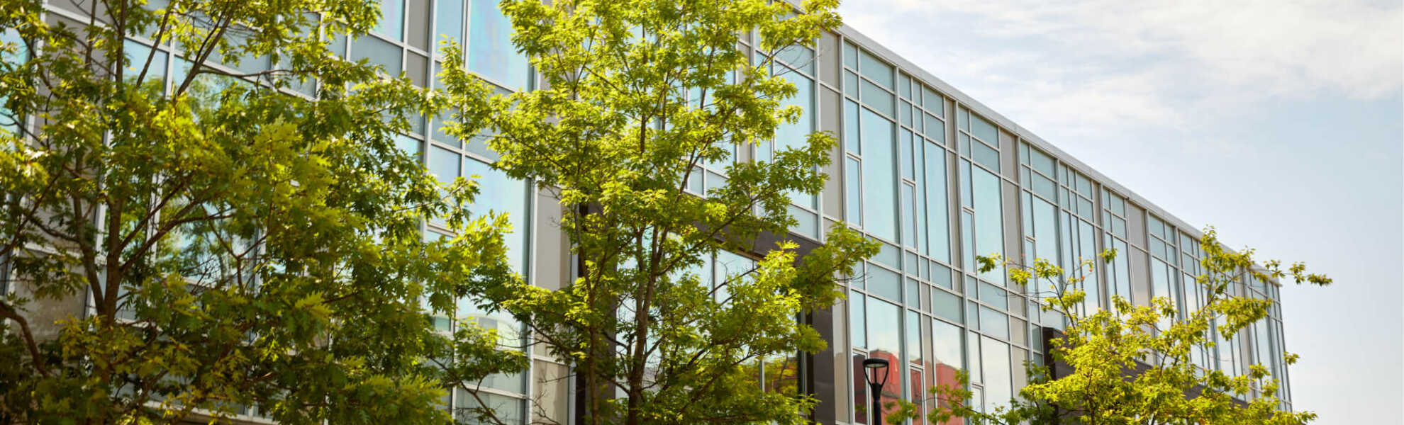 York U Future Students banner