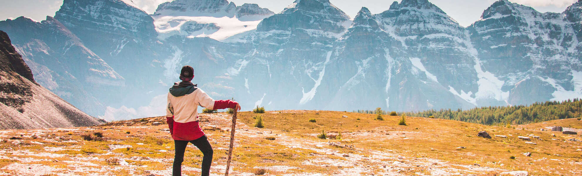 everything you need to know about drupal 9