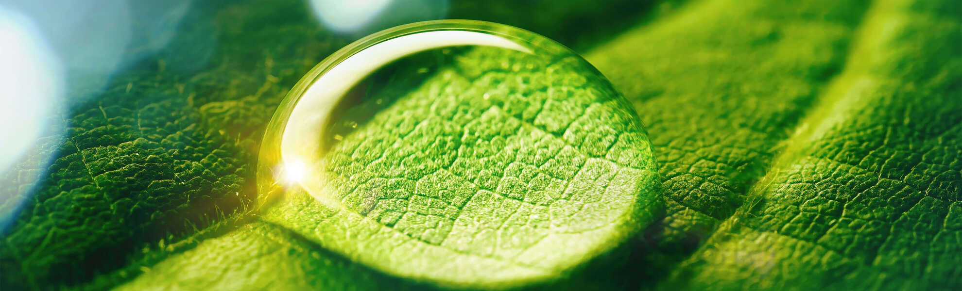 Hands on with Drupal 10 Easier content creation with Claro