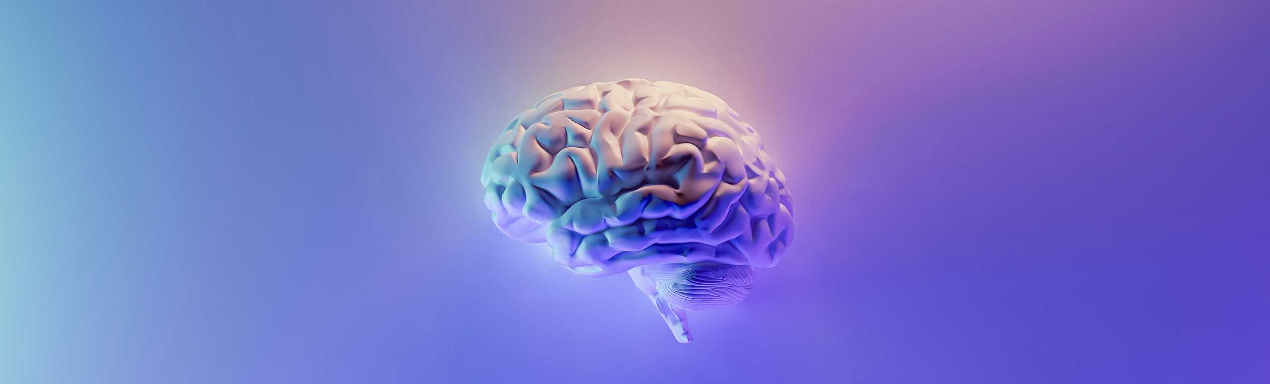 A brain on a purple background