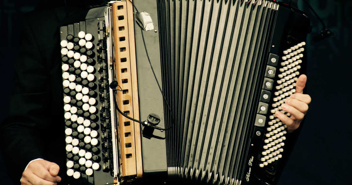 Old Accordion – Wallmonkeys