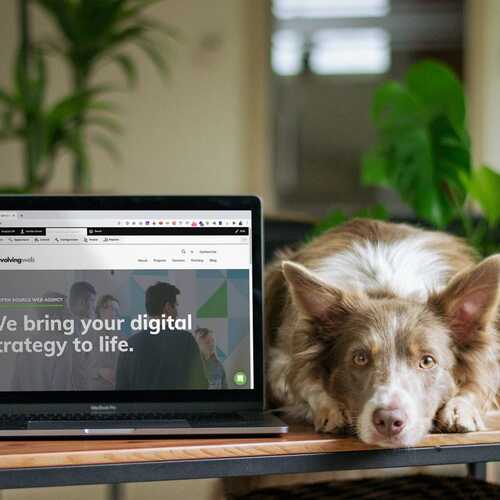 Dog with laptop on table
