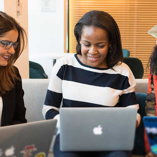 People learning from their laptops