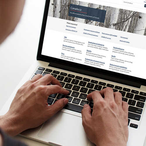 Student looking at the Government of Canada Website