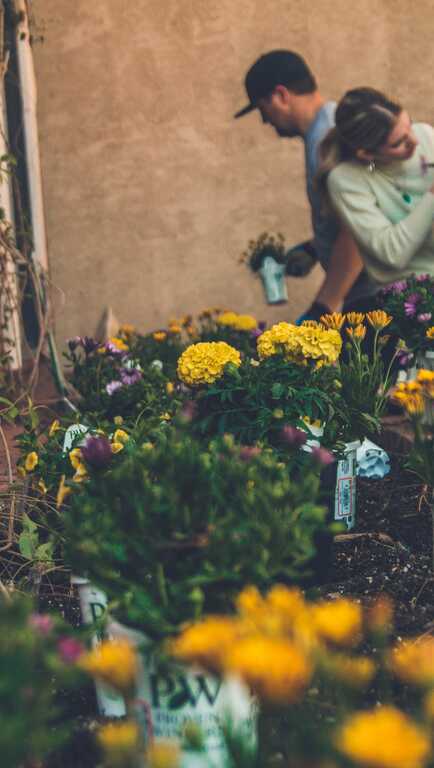 a group of young people planting flowers