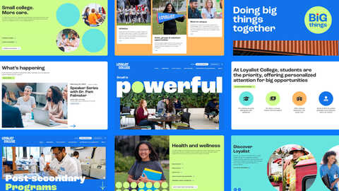Grid of nine images showcasing different pages on the Loyalist website.
