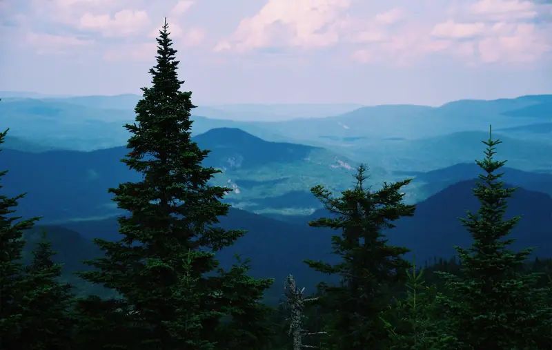 landscape