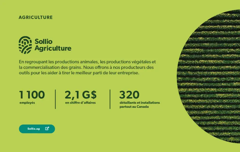 Sollio cooperatives