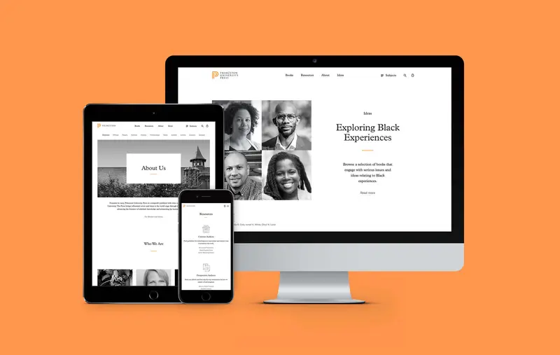 Princeton Press website showcase
