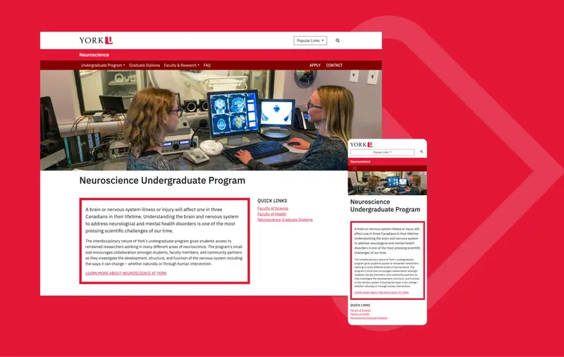 York U Neuroscience Showcase 