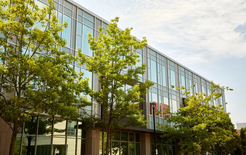 York U Future Students banner