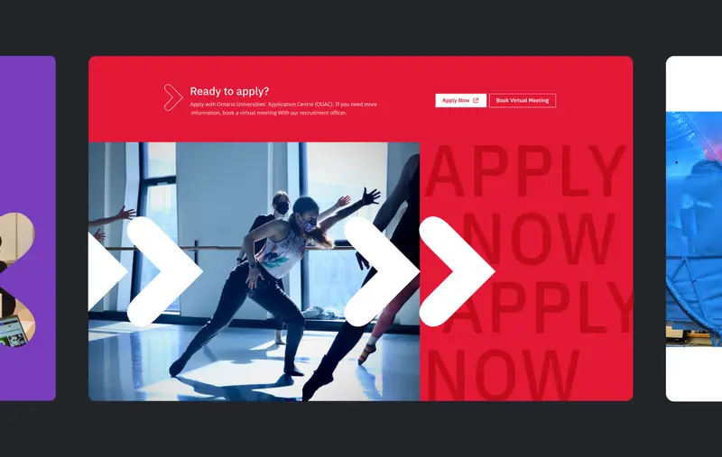 A selection of screenshots of the York AMPD website