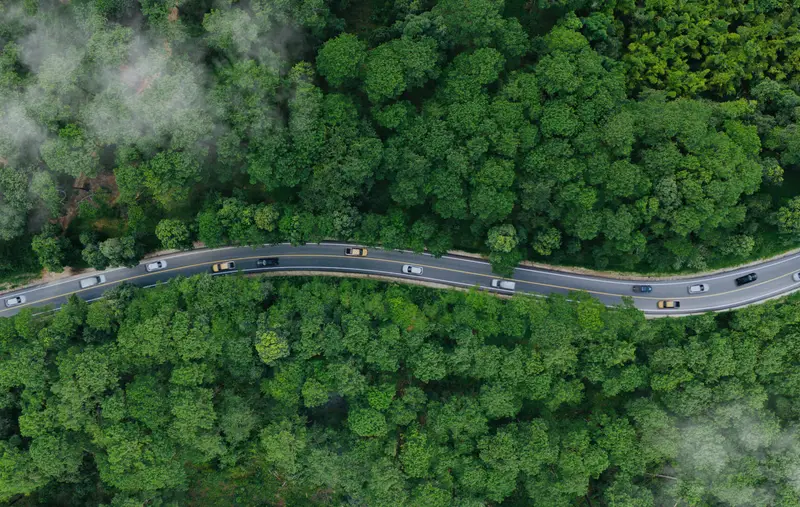A birds-eye-view image of a road crossing a forest seen through some clouds.