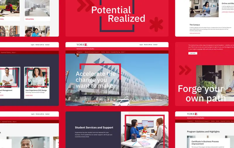 Vitrine du site web de bureau de York University SCS