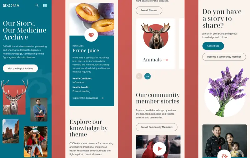 Screenshots of four different pages of the OSOMA website