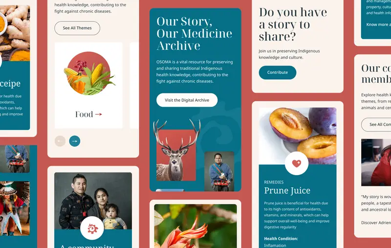 A showcase showing multiple screenshots of different pages of the website on mobile