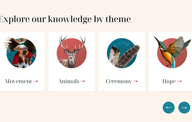 A screenshot of a section of the website that invites users to 'explore our knowledge by theme', with the themes being movement, animals, ceremony and hope