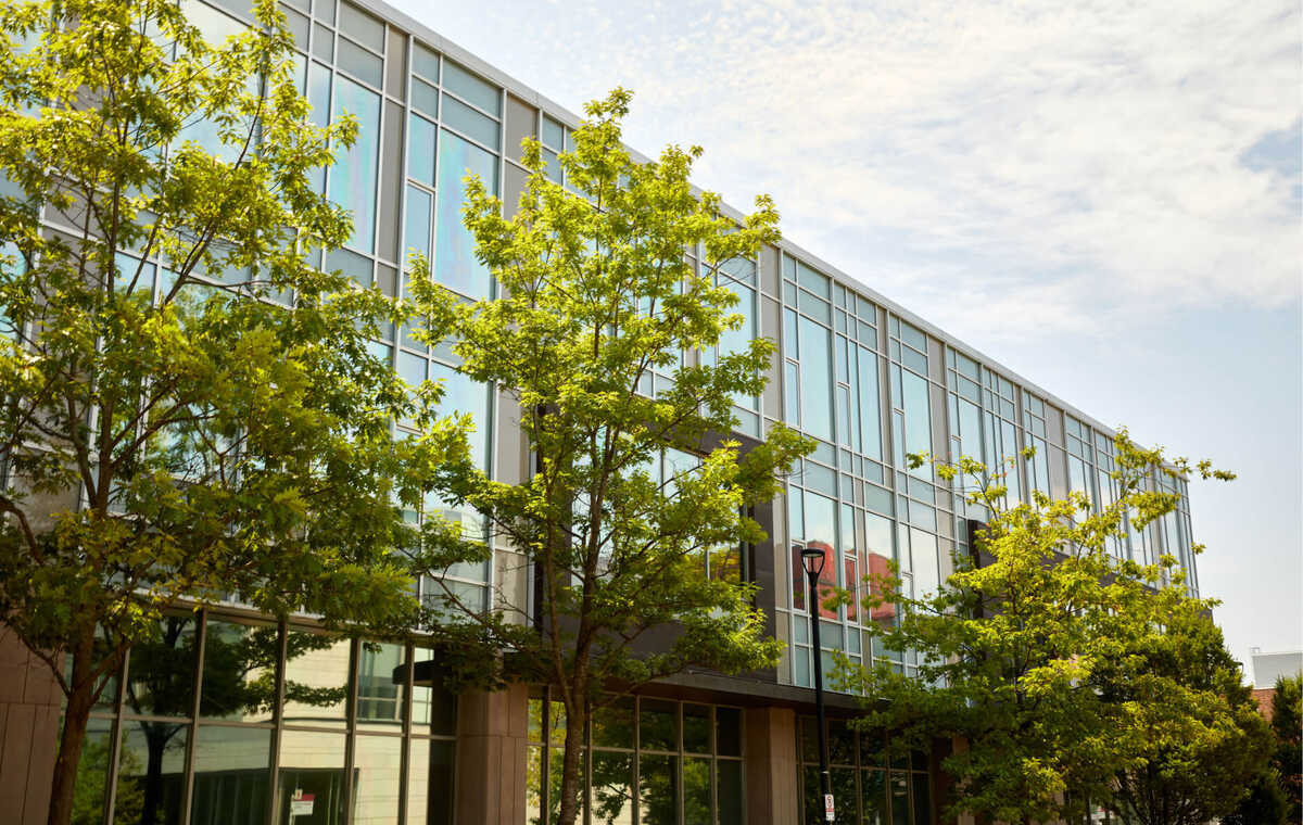 York U Future Students banner