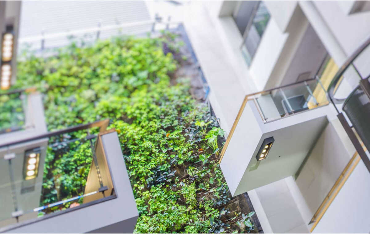 Guelph-Humber-Banner