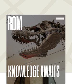 Royal Ontario Museum website thumbnail