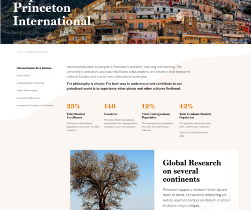 desktop image of Princeton International